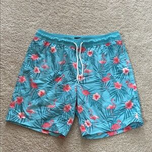 Aqua Flamingo Print Men's Swim Trunks